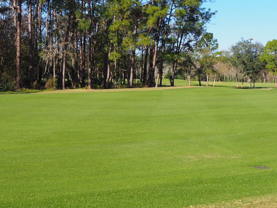 FC Bayern Golf